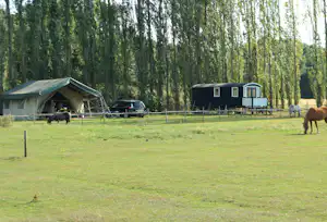 Pipowagen & Kampeerhoeve 's-Gravenhof