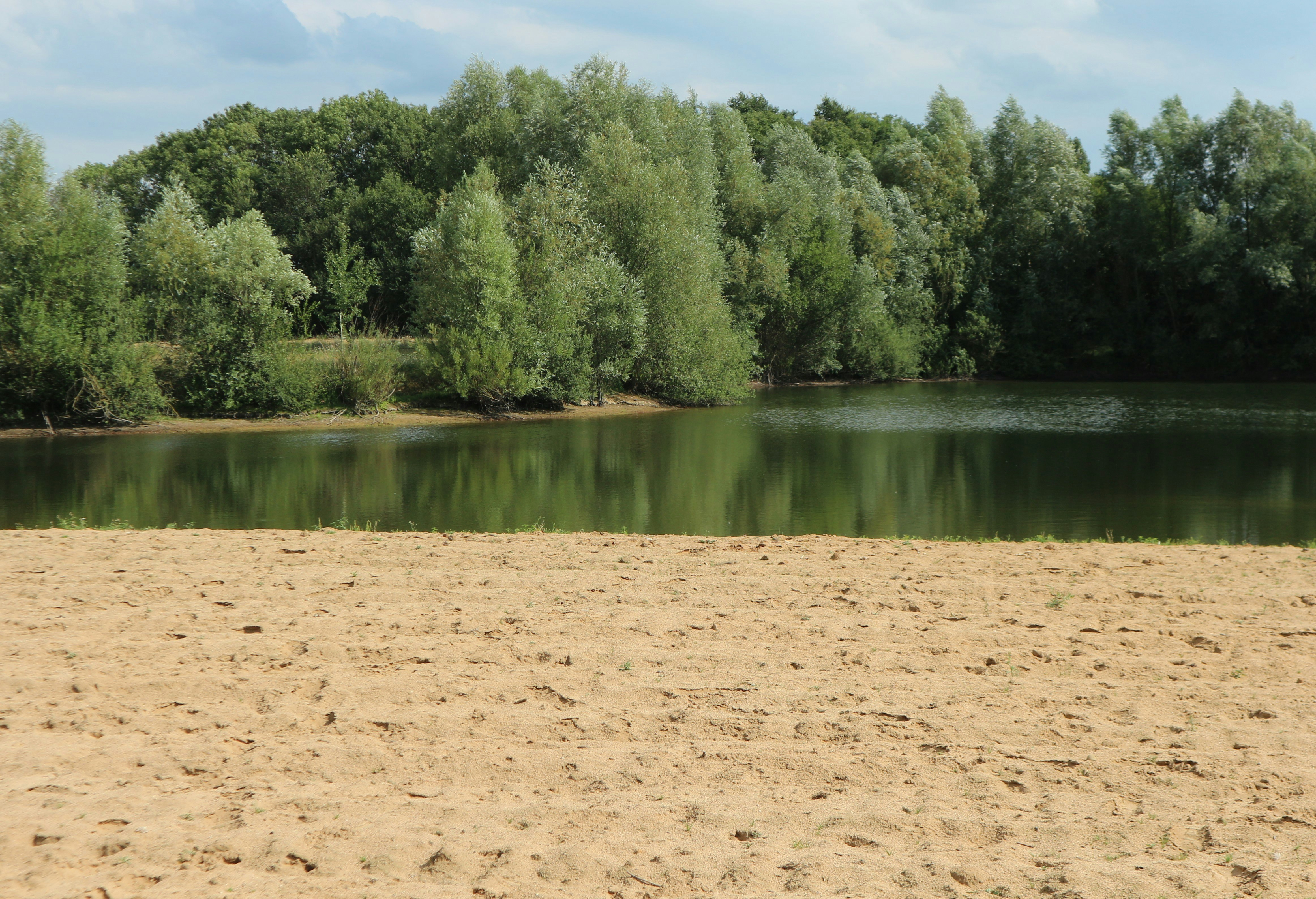 Pipowagen & Kampeerhoeve 's-Gravenhof