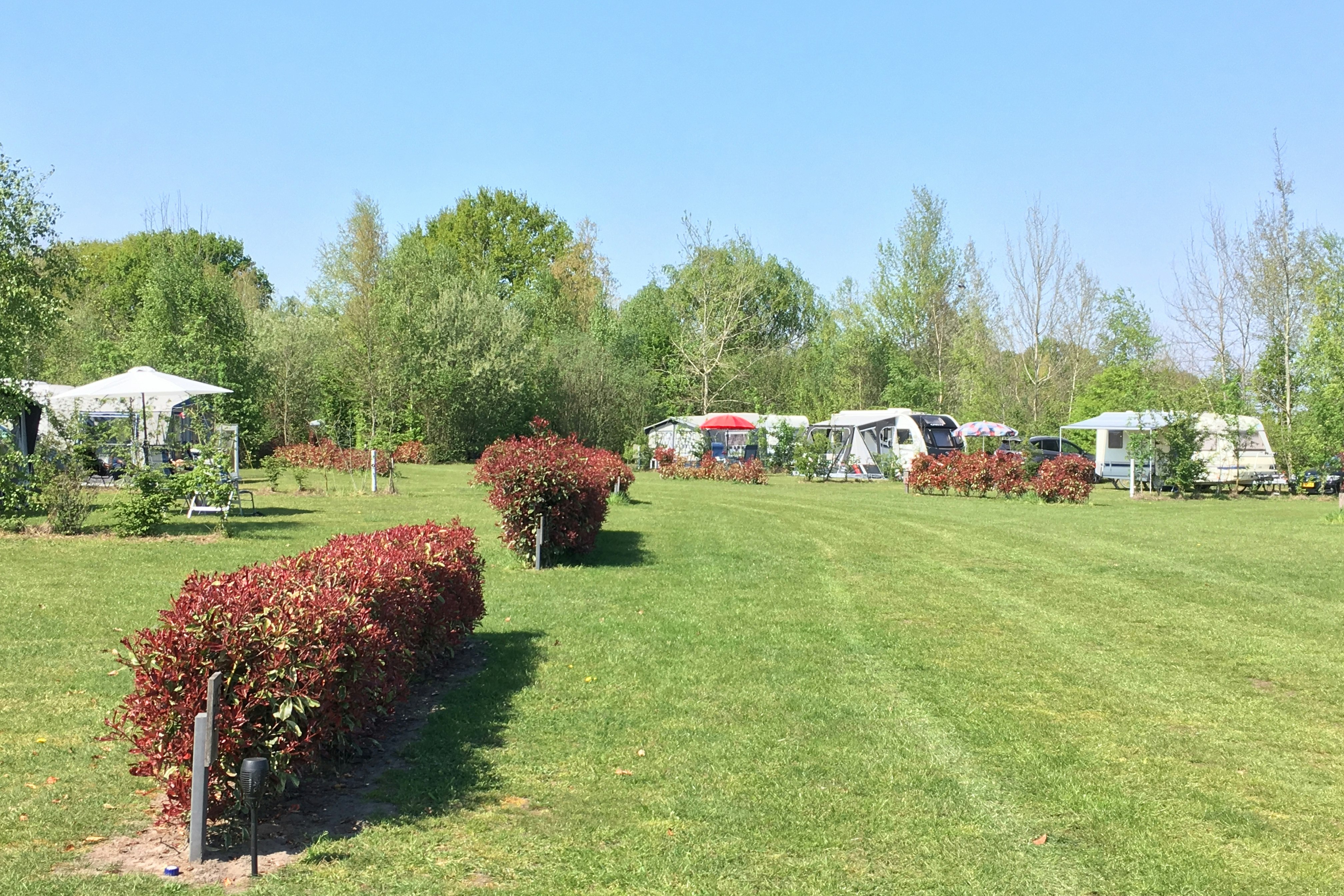 Landschapscamping De Graspol - Große Stellplatzwiese