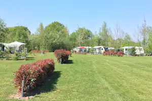 Landschapscamping De Graspol - Große Stellplatzwiese