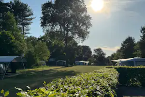 Camping Thuysgrond - Wohnmobil- und Wohnwagenstandplätze auf der Wiese