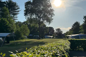 Camping Thuysgrond - Wohnmobil- und Wohnwagenstandplätze auf der Wiese