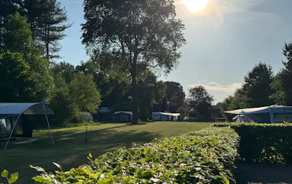 Camping Thuysgrond