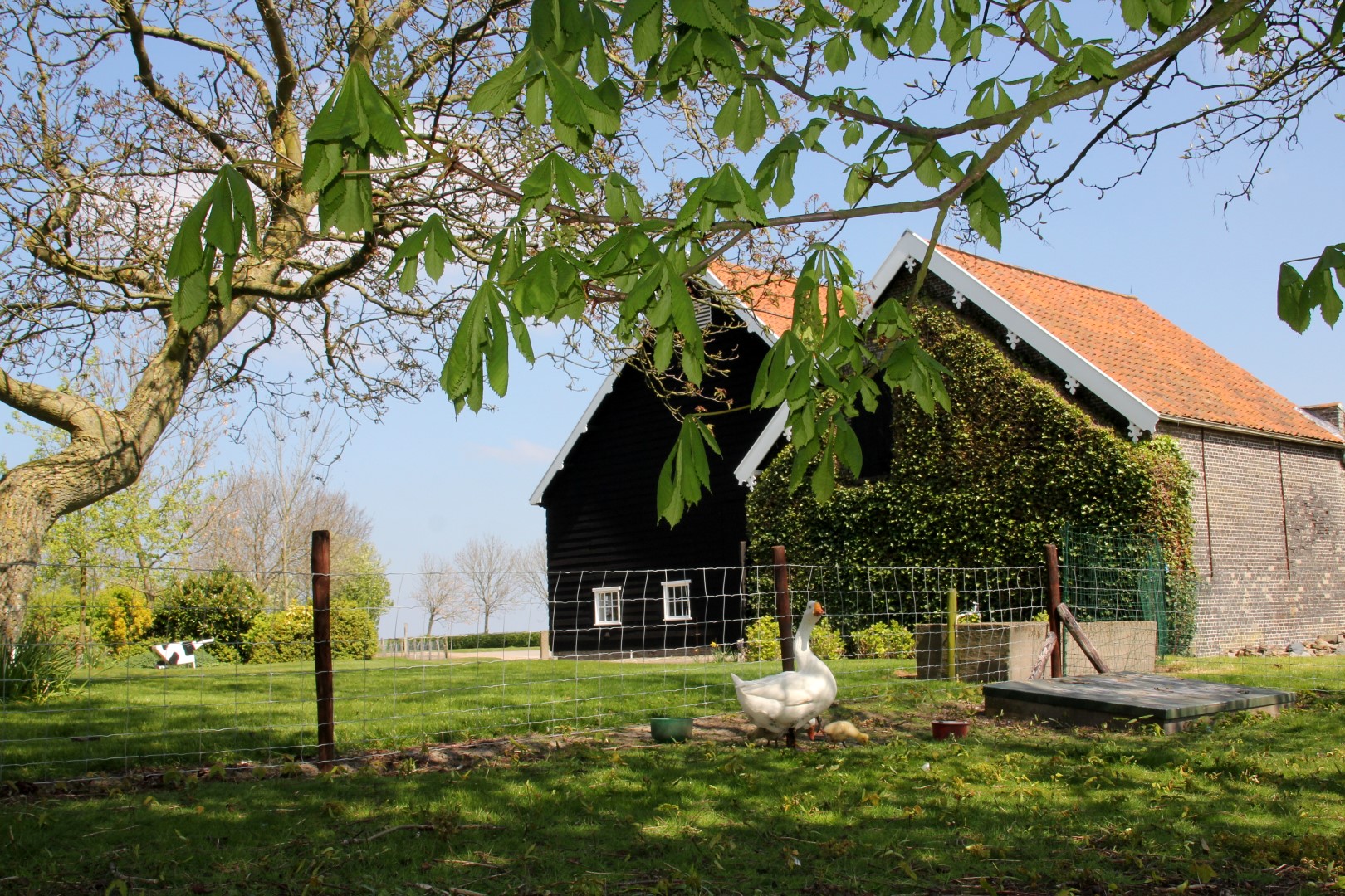 Landschapscamping De Zonnehoeve