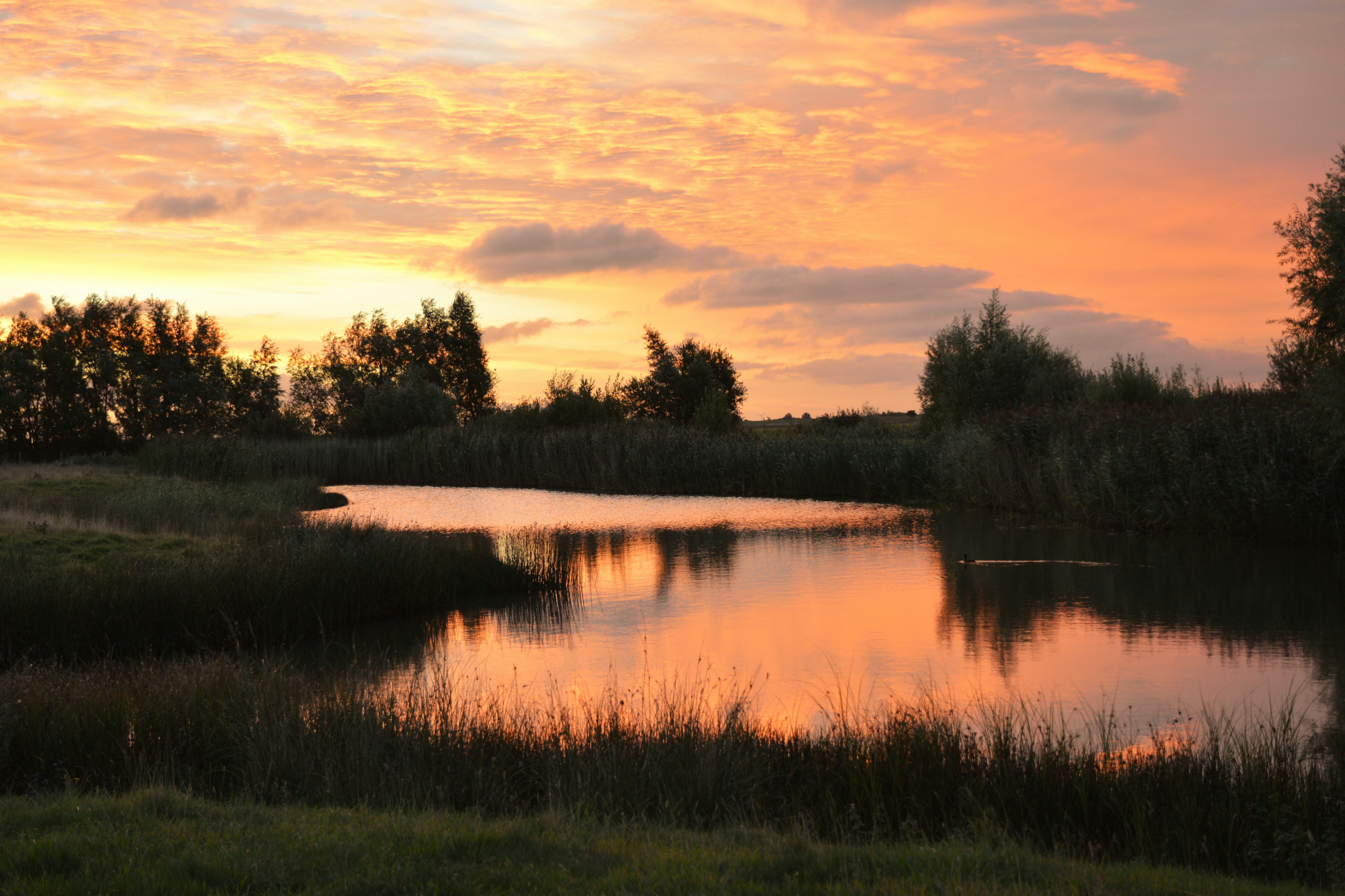 Landschapscamping Kijkuit - Sonnenuntergang über dem Wasser