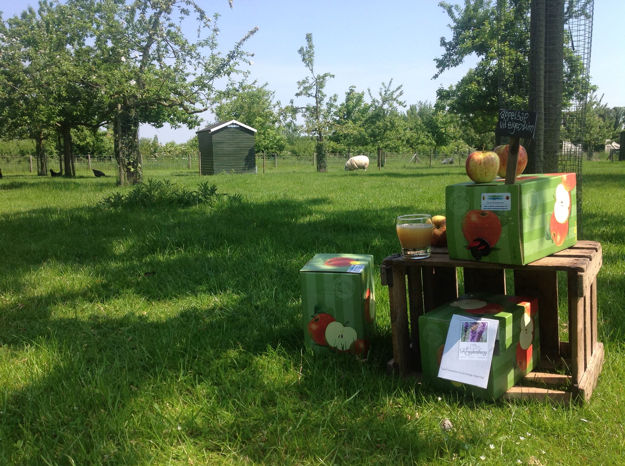 Landschapscamping Kruytenburg