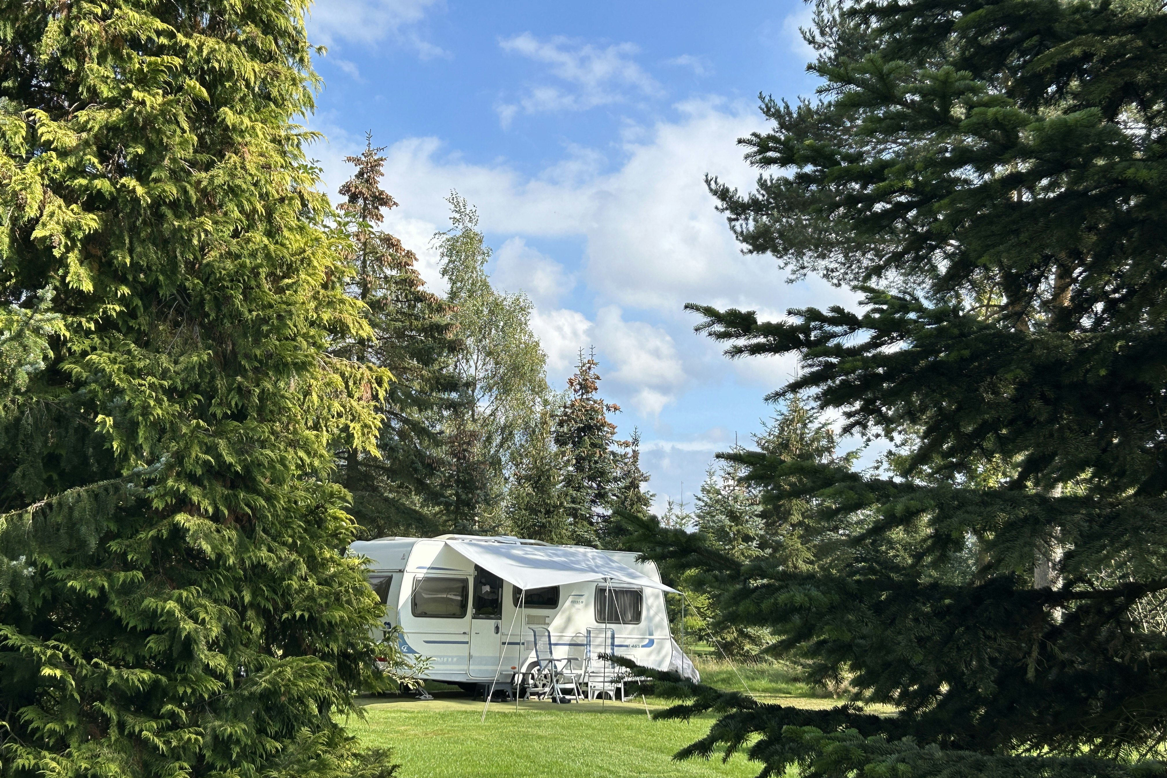 Landschapscamping Sparrenhof - Standplätze zwischen den Bäumen auf dem Campingplatz