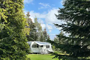 Landschapscamping Sparrenhof - Standplätze zwischen den Bäumen auf dem Campingplatz