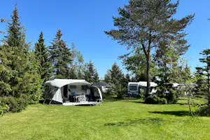 Landschapscamping Sparrenhof - Standplatzwiese auf dem Campingplatz