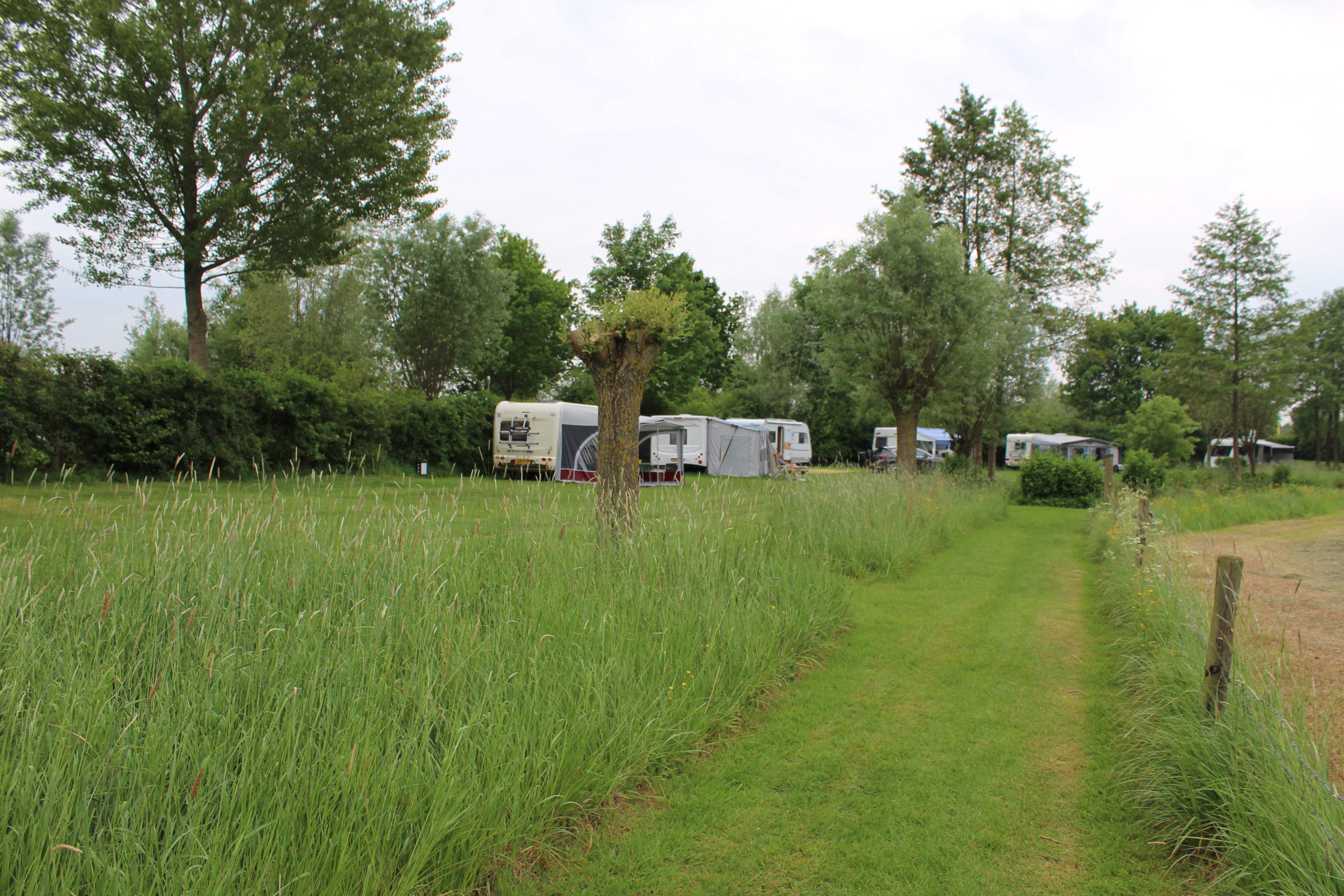 Landschapscamping 't Lentinck