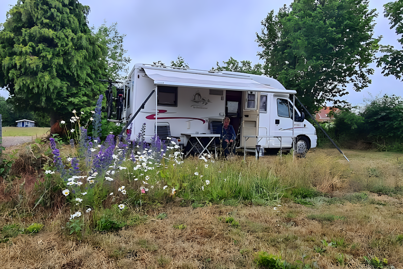 Langeland Camping - Standplätze auf dem Campingplatz