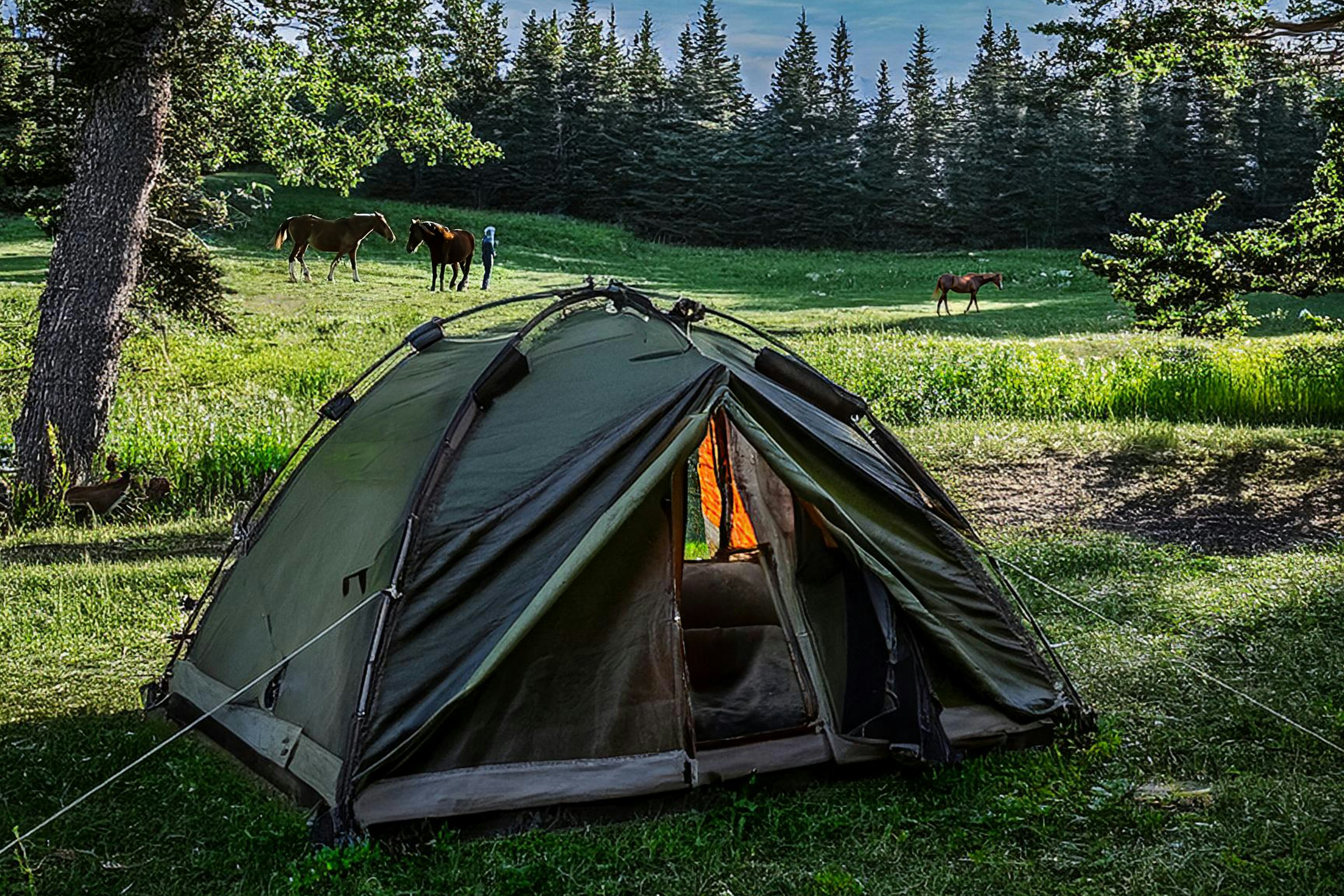 Langeland Camping - Zeltplatz in der Natur auf dem Campingplatz