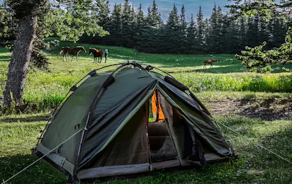 Langeland Camping