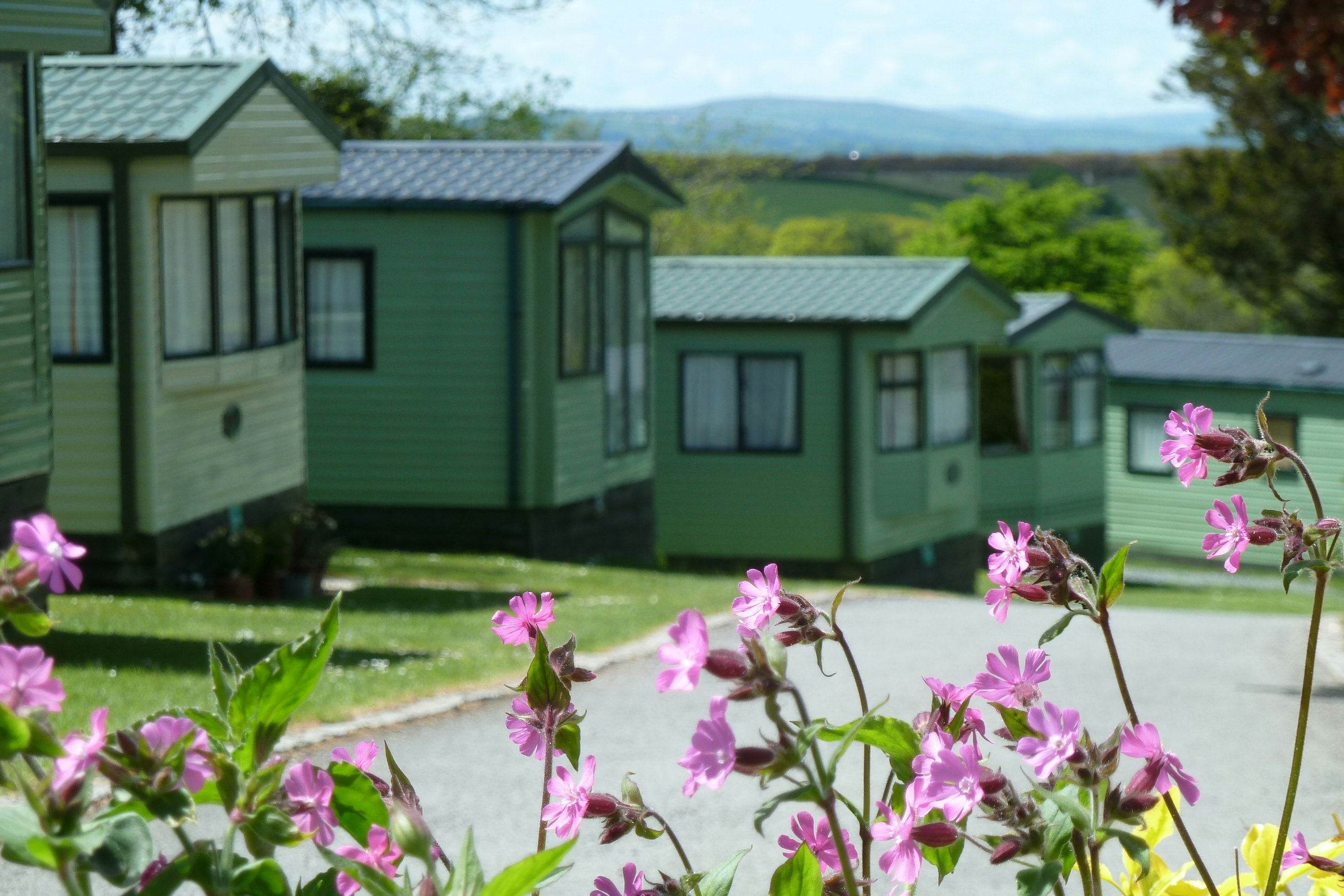 Langstone Manor Holiday Park  - Mobilheime auf dem Campingplatz