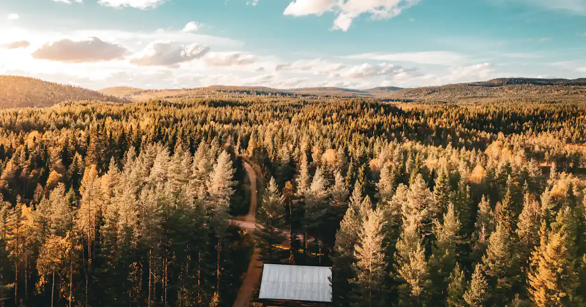 Lapland Adventures