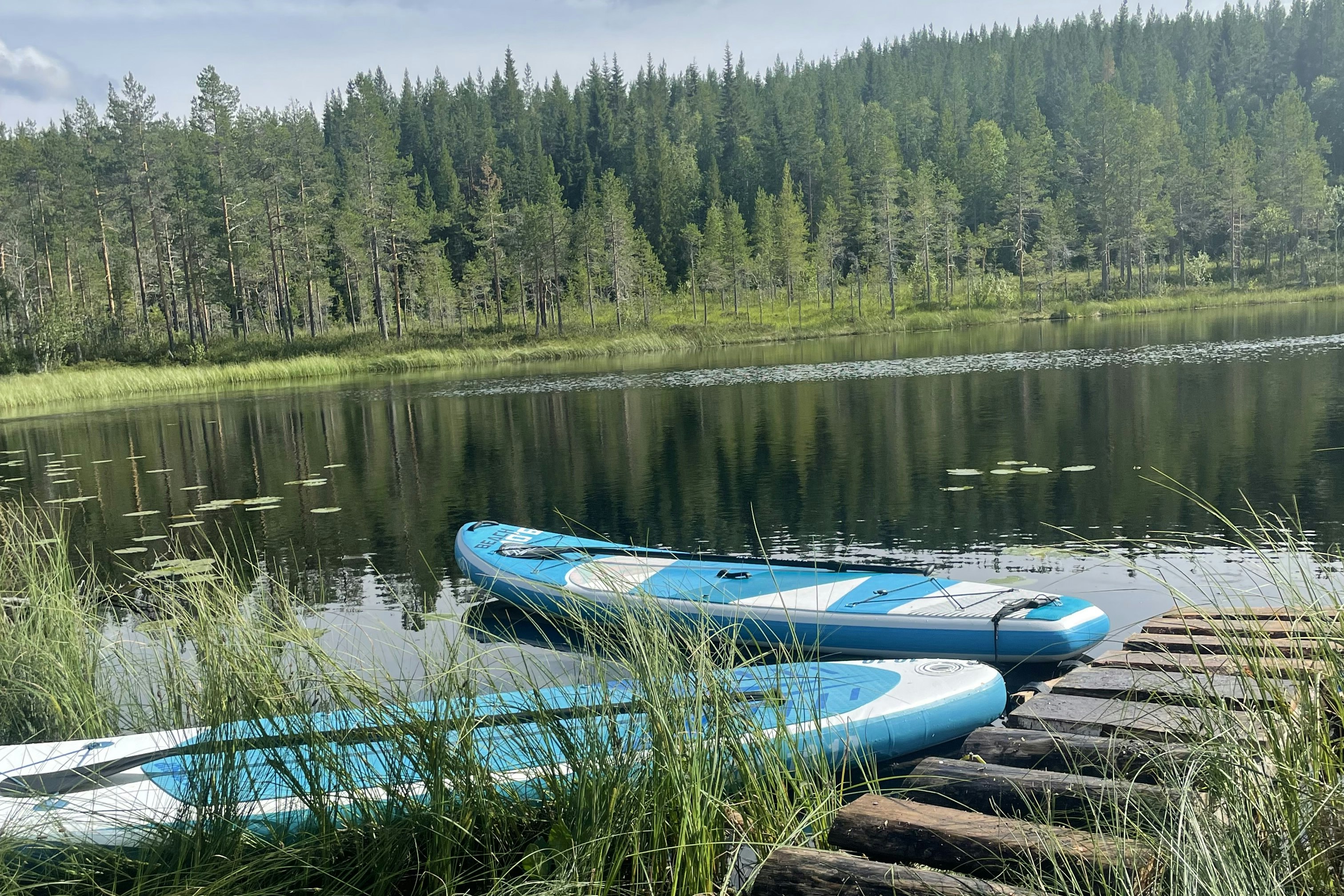 Lapland Adventures - Blick auf den See umgeben von Wald