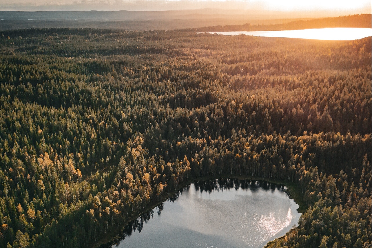 Lapland Adventures - Blick auf die Landschaft mit Wald und Seen aus der Vogelperspektive