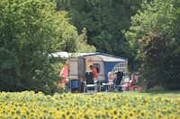 Le Camp de Florence  -  Stellplatz vom Campingplatz am Sonnenblumenfeld