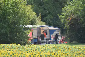 Le Camp de Florence - Stellplatz vom Campingplatz am Sonnenblumenfeld