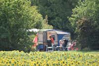 Le Camp de Florence  -  Stellplatz vom Campingplatz am Sonnenblumenfeld
