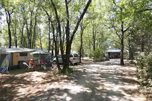 Camping du Lac - Stellplatz vom Campingplatz zwischen Bäumen