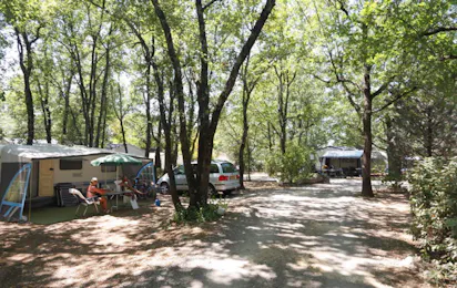 Camping du Lac (Montauroux)