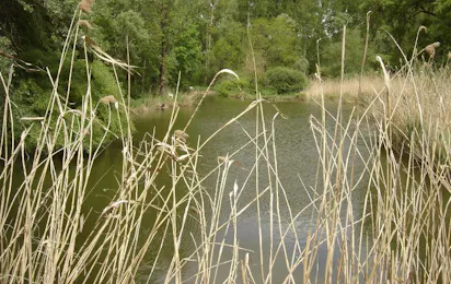 Le Cattiaux Camping