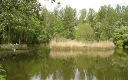 Le Cattiaux Camping