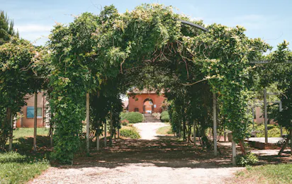Le Domaine de Claire Rive