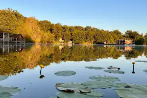 Ruhiger See mit Seerosen, Stegen und kleinen Bootsstegen am Ufer, dahinter Bäume im goldenen Licht.