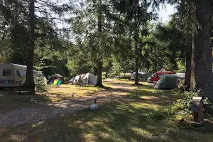 Campingplatz mit mehreren Zelten, Wohnwagen und Campingstühlen auf einem Grasplatz zwischen hohen Baeumen.