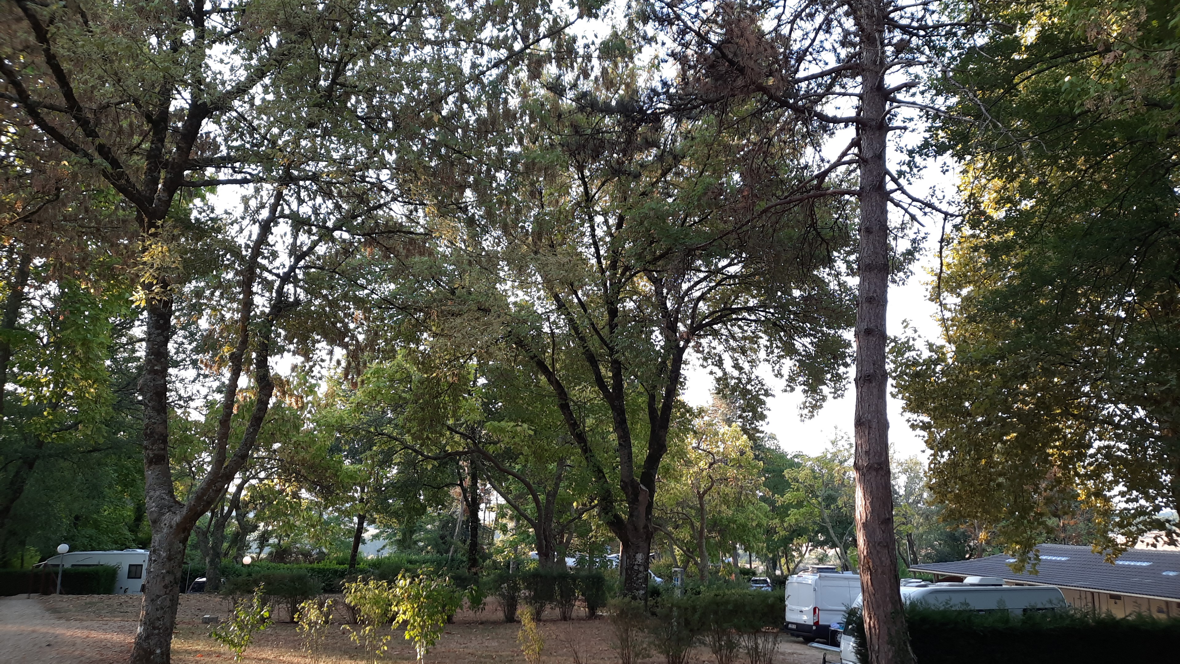 Le Domaine du Castex