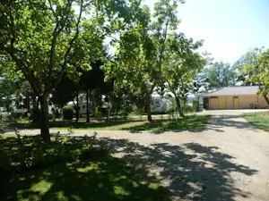 Baumallee auf einem Campingplatz mit gepflastertem Weg, Rasenflächen und mehreren Gebäuden im Hintergrund.