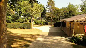Campingweg zwischen Bäumen, rechts Zelt- bzw. Unterkunftsdach und Veranda, links Hecke und Rasenfläche.