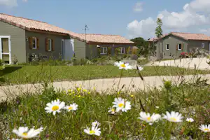Bungalows auf einem Campingplatz mit gepflegtem Garten und weißen Gänseblümchen vor den Häusern.