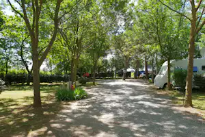 Baumallee auf dem Campingplatz mit Kiesweg, Stellplätzen und geparkten Wohnmobilen zwischen grünen Hecken.