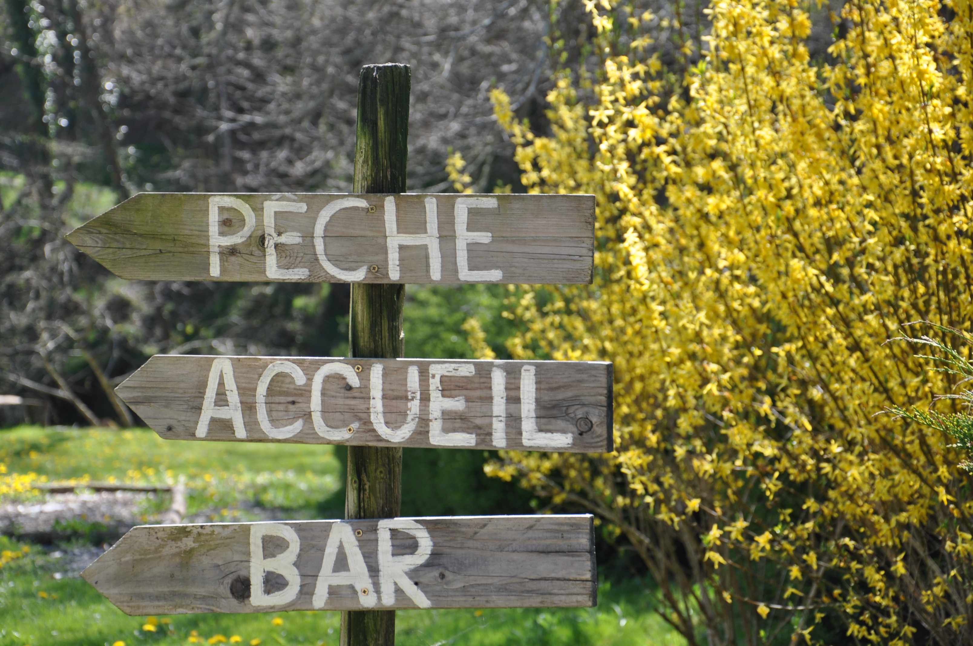 Le Moulin du Châtain