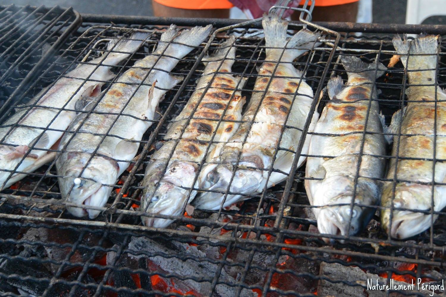 Le Moulin du Châtain