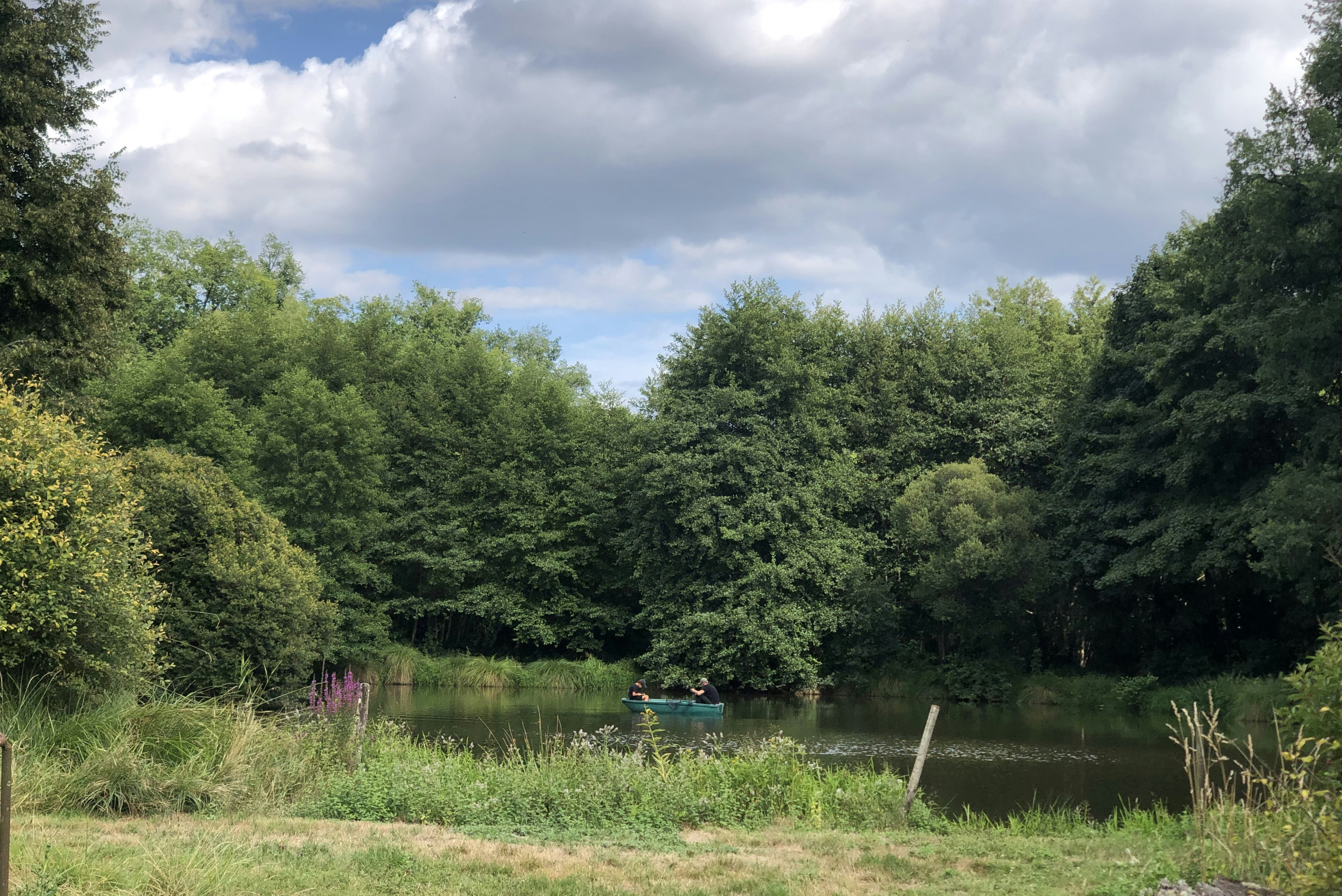 Ruderboot auf ruhigem See vor dichtem Wald, im Vordergrund Ufergras und Blumen, darüber bewölkter Himmel.