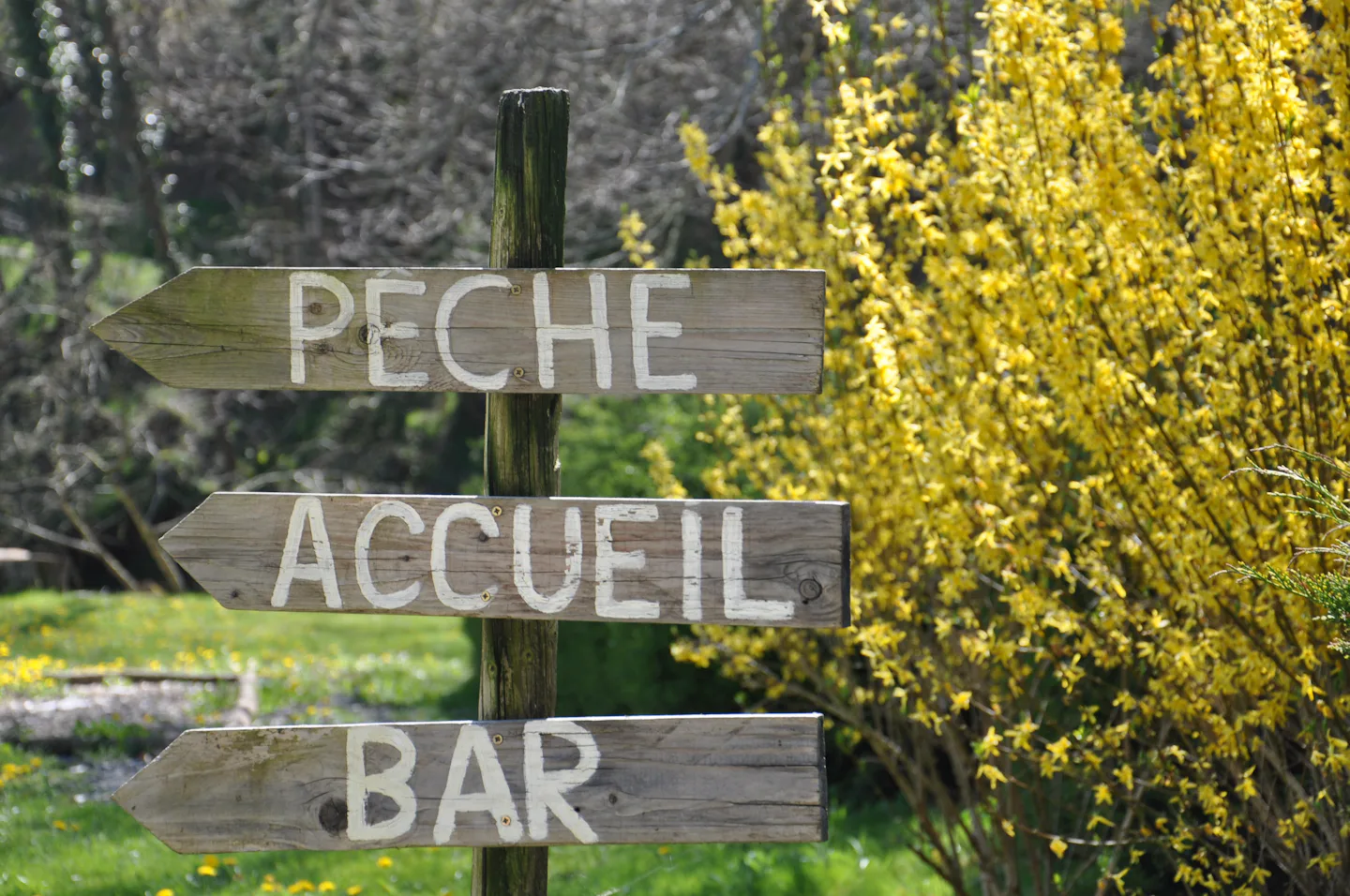 Le Moulin du Châtain