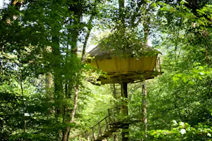 Baumhaus auf Stelzen im Wald, umgeben von grünen Bäumen und dichtem Laub, mit Treppe zum Eingang.