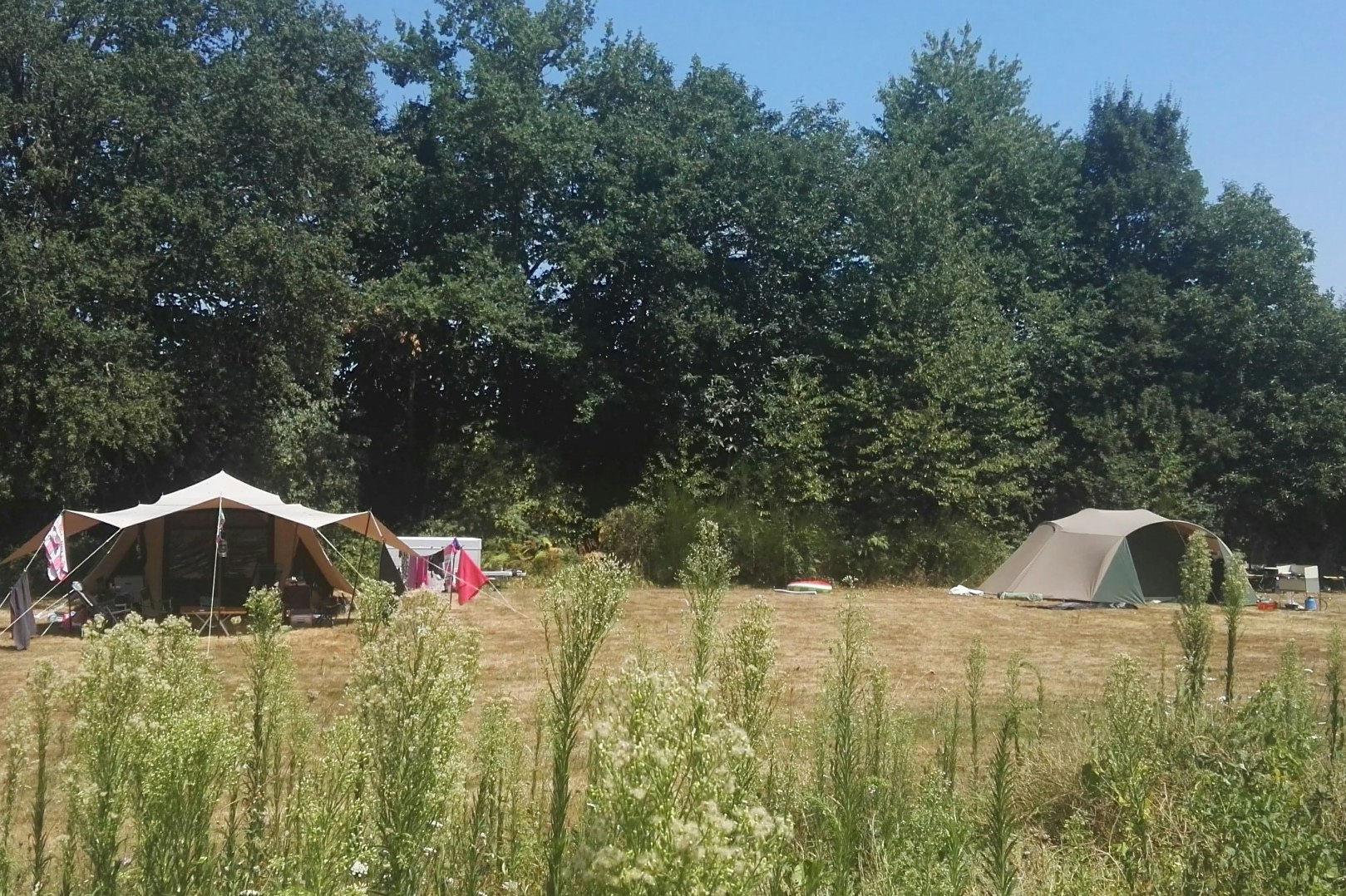 Le Petit Mas d’ile - Blick auf die Zeltwiese auf dem Campingplatz