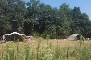 Le Petit Mas d’ile - Blick auf die Zeltwiese auf dem Campingplatz