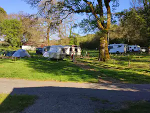 Campingplatz im Grünen mit mehreren Wohnwagen und Wohnmobilen auf Stellplätzen, umgeben von Bäumen und Rasen.