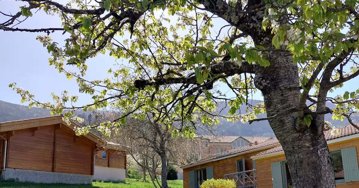Le Pré Martin photo 5