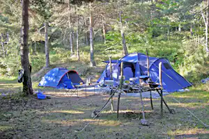 Le P'tit Bonheur - Zeltstellplätze unter Bäumen auf dem Campingplatz