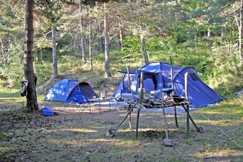 Le P'tit Bonheur -  Zeltstellplätze unter Bäumen auf dem Campingplatz