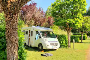 Wohnmobil auf einem Campingplatz zwischen Bäumen und Hecken, mit offenem Fahrerfenster und Wäsche am Seitenbereich.