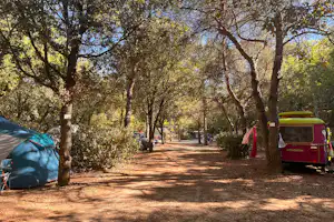 Les Bords de Cèze - Standplätze auf dem Campingplatz