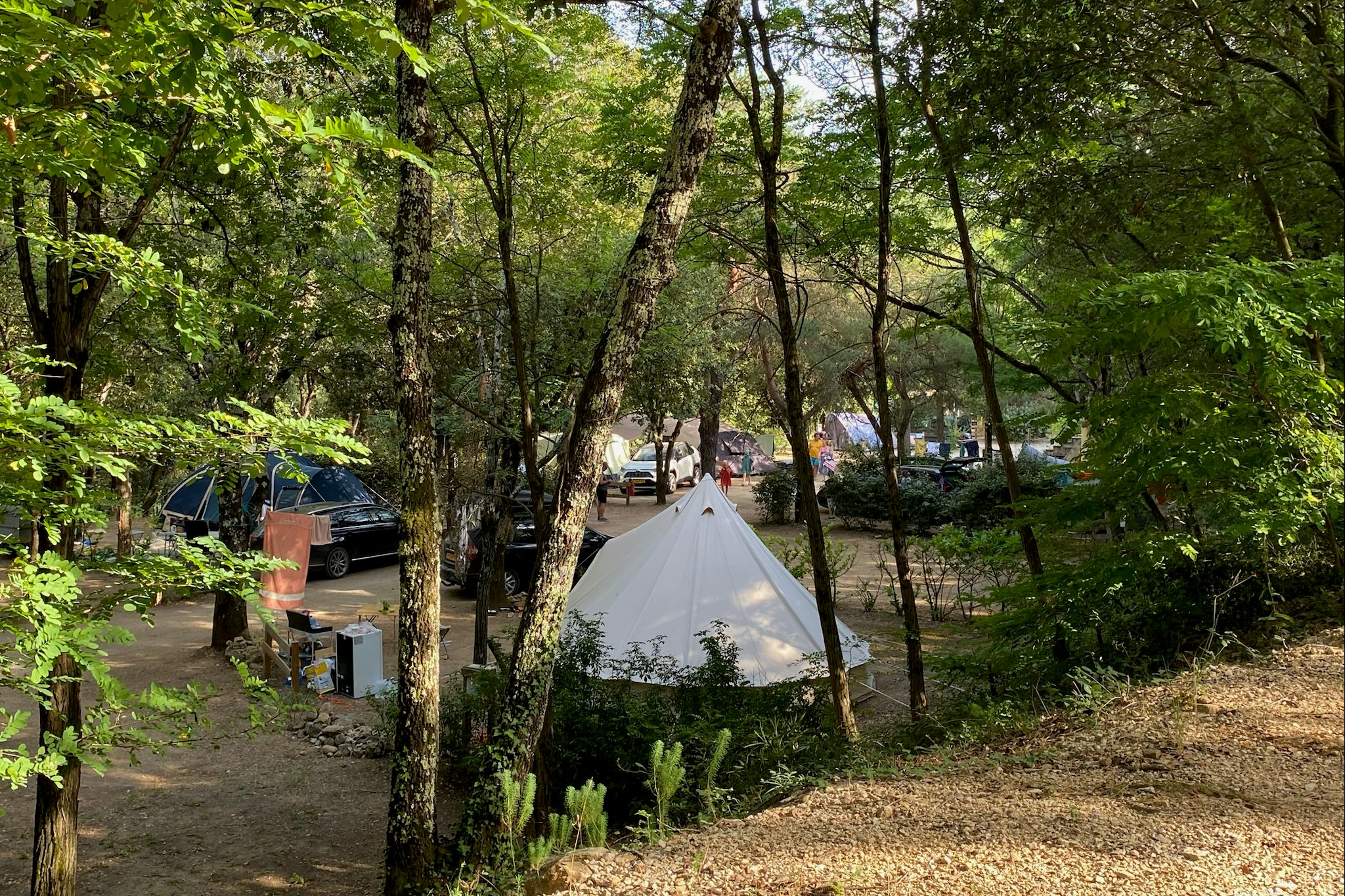 Les Bords de Cèze - Zeltplätze zwischen den Bäumen auf dem Campingplatz